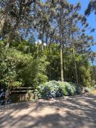 Top Bom Jardim da Serra