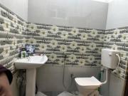 Sparkline Girls Hostel