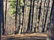 Top Parád Top Parád