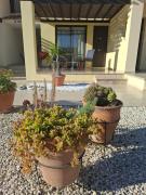 Sunny Stay Apartment