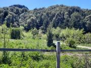 Top Futaleufú Top Futaleufú