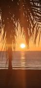 Torrevieja Playa