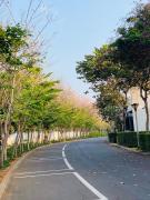 Top Long Hai