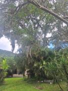 Top Florianópolis