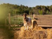 Top Châteauneuf-le-Rouge