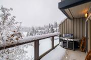 Top Whistler