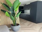 Eco Forest Home near Baarle-Nassau