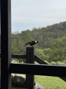 Top Wollombi