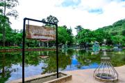 Top Ban Hua Phrong