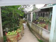 My Hoa Mekong Homestay