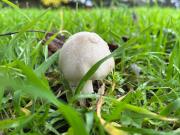 Cada Rural El Molino Valle del Tiétar