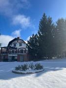 Dzikie Historie Młynik