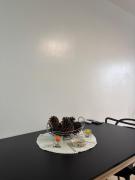 Top Rosario Top Rosario