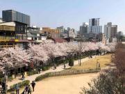 Top Seoul Top Seoul