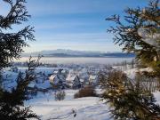 Mizerna Cicha Noclegi Blisko Natury