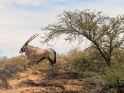 Skoorsteenberg Farm Camping & Accommodation