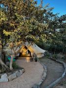 Top Todos Santos