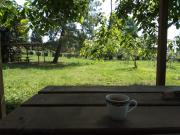 Top Rivalta di Torino