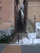 Top Skorka Top Skorka