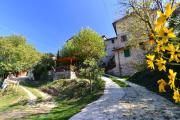 Top Spoleto