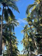 Top Lázaro Cárdenas