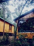 Bosque Venado de Oro