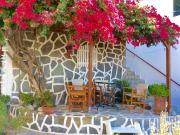 Top Platis Yialos Mykonos