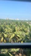 Top Trivandrum