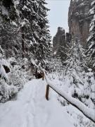 Top Teplice nad Metují