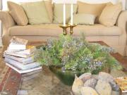 Sneeuberg Nature Reserve