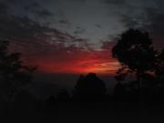 Top Almora