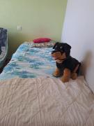 Top Chalon-sur-Saône