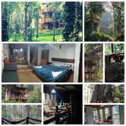 Munnar Tree house and Farm