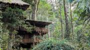 Top Munnar
