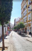 Top Seville