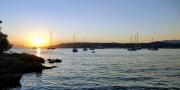 Top Antibes