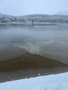 Cottage an der Elbe Tespe Hamburg