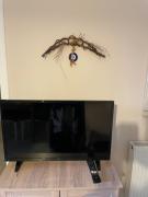 Olive Grove Family Home