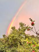 Zauberhafte Ferienwohnung in Idyllischer Lage