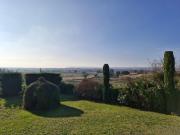Top Châteauneuf-du-Pape