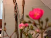 Öströö Apartments