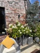 Top Beaumont-en-Auge