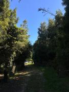 Top Santa María Línea