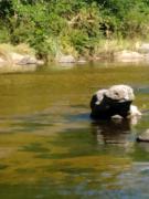 Top San Antonio de Arredondo