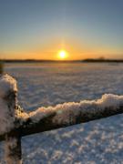 Briary Cottages at Iletts Farm