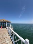 Top Paracas