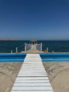 Top Paracas