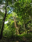 Cabaña de montaña Queca