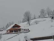 Cabana de sub mesteceni