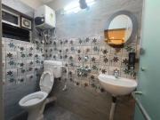 Collection O Yellow Rose